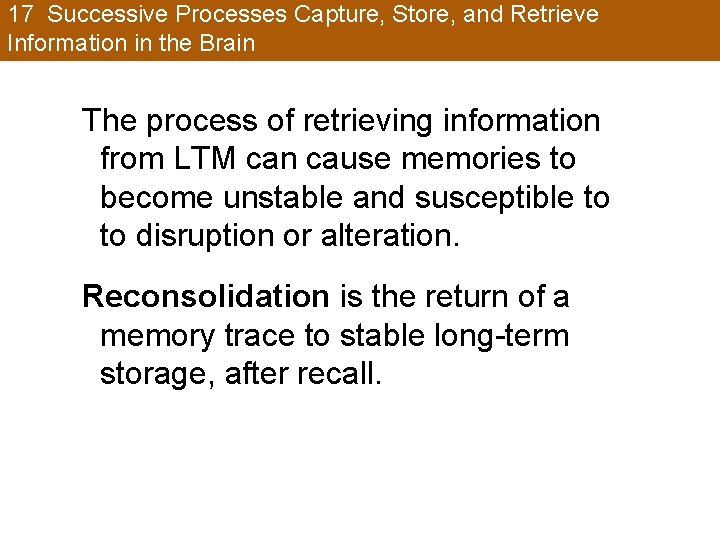 17 Successive Processes Capture, Store, and Retrieve Information in the Brain The process of