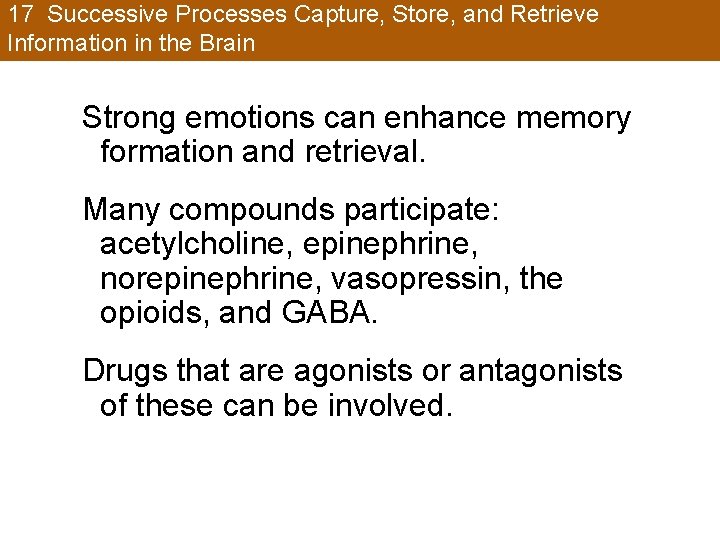 17 Successive Processes Capture, Store, and Retrieve Information in the Brain Strong emotions can