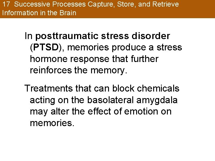 17 Successive Processes Capture, Store, and Retrieve Information in the Brain In posttraumatic stress