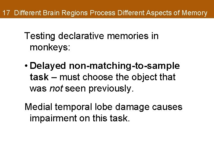 17 Different Brain Regions Process Different Aspects of Memory Testing declarative memories in monkeys:
