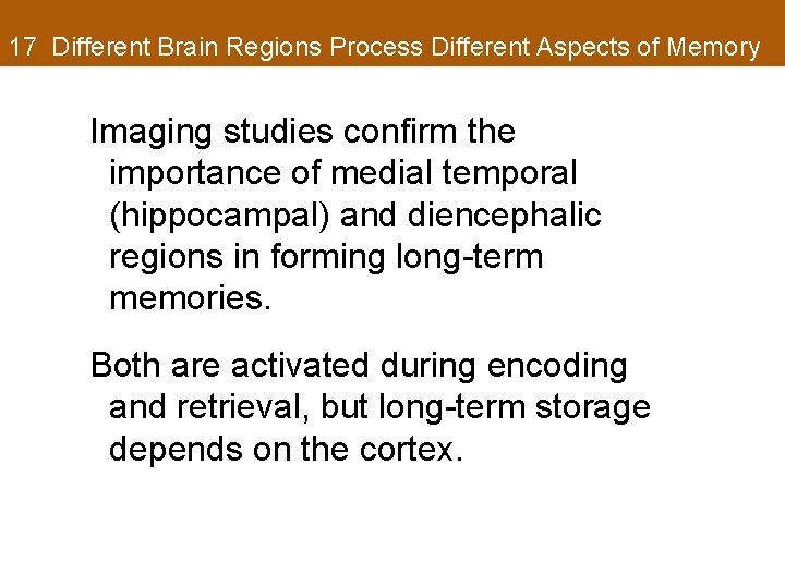 17 Different Brain Regions Process Different Aspects of Memory Imaging studies confirm the importance