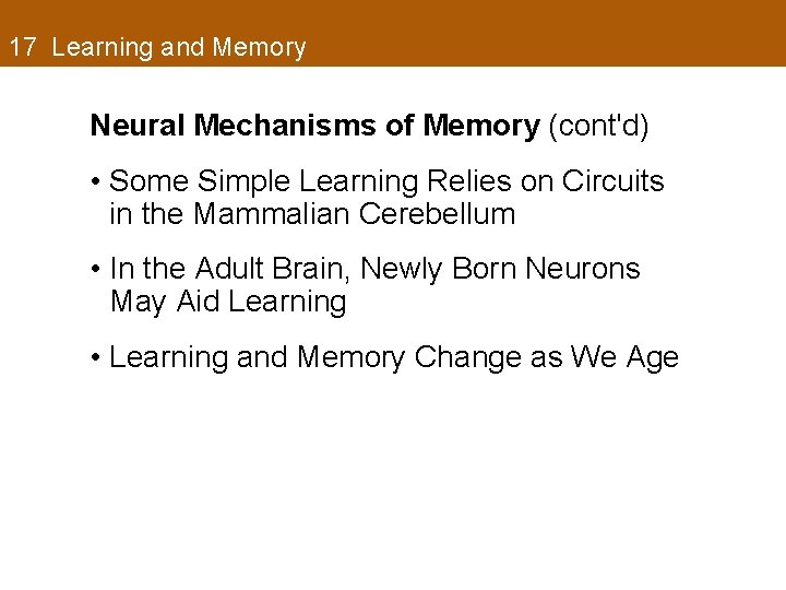 17 Learning and Memory Neural Mechanisms of Memory (cont'd) • Some Simple Learning Relies