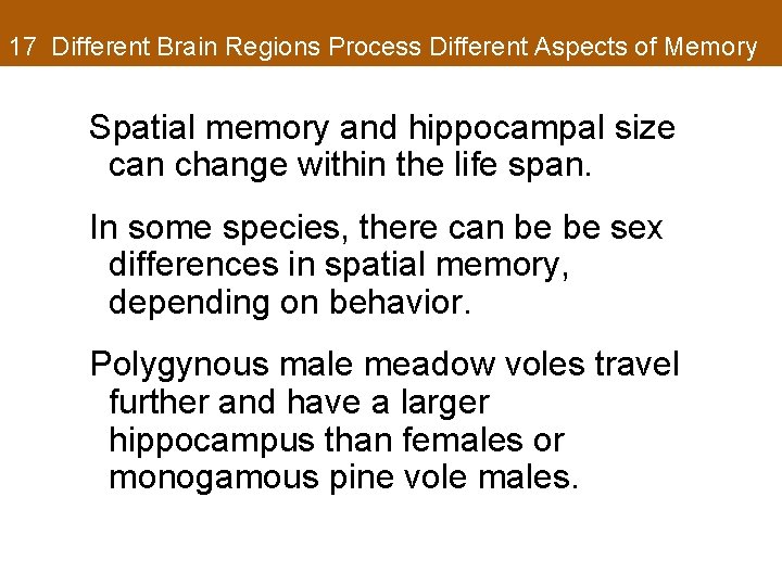 17 Different Brain Regions Process Different Aspects of Memory Spatial memory and hippocampal size