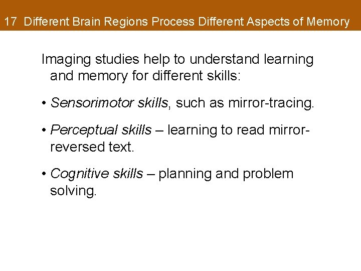 17 Different Brain Regions Process Different Aspects of Memory Imaging studies help to understand