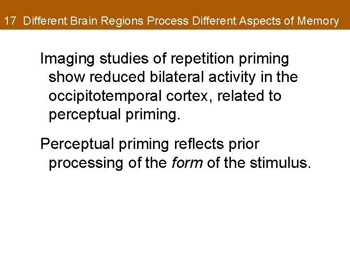 17 Different Brain Regions Process Different Aspects of Memory Imaging studies of repetition priming