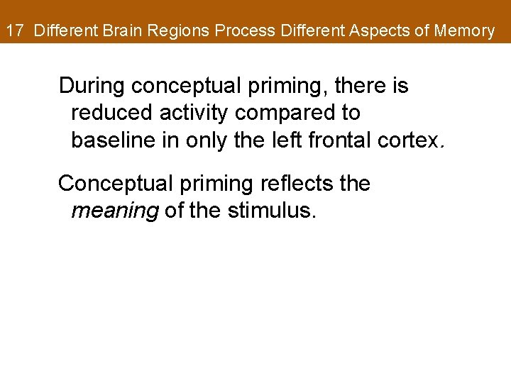 17 Different Brain Regions Process Different Aspects of Memory During conceptual priming, there is