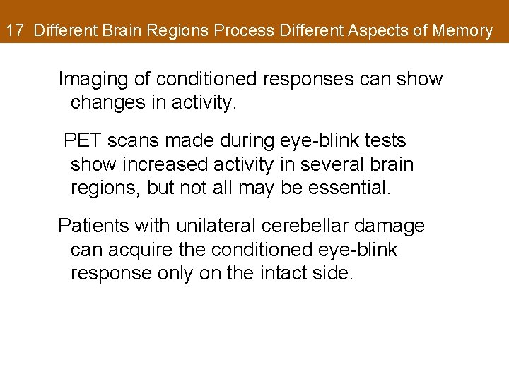 17 Different Brain Regions Process Different Aspects of Memory Imaging of conditioned responses can