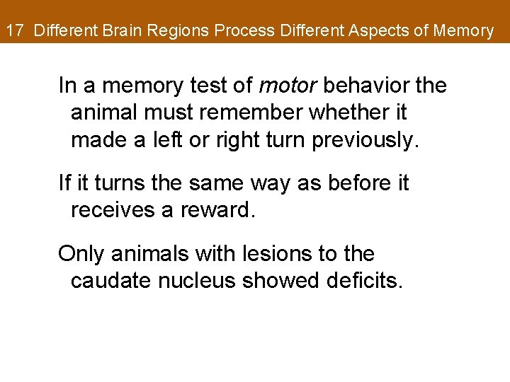 17 Different Brain Regions Process Different Aspects of Memory In a memory test of