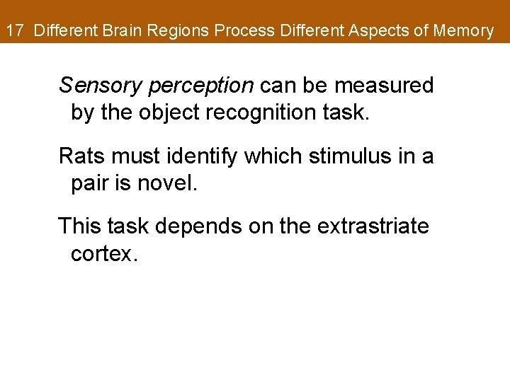 17 Different Brain Regions Process Different Aspects of Memory Sensory perception can be measured