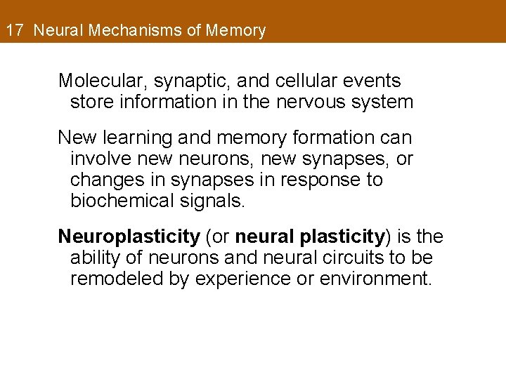 17 Neural Mechanisms of Memory Molecular, synaptic, and cellular events store information in the
