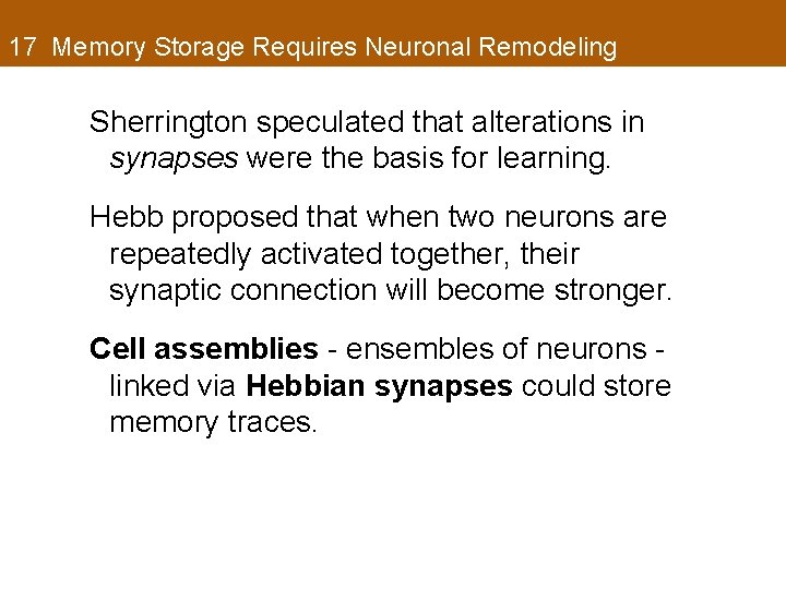 17 Memory Storage Requires Neuronal Remodeling Sherrington speculated that alterations in synapses were the