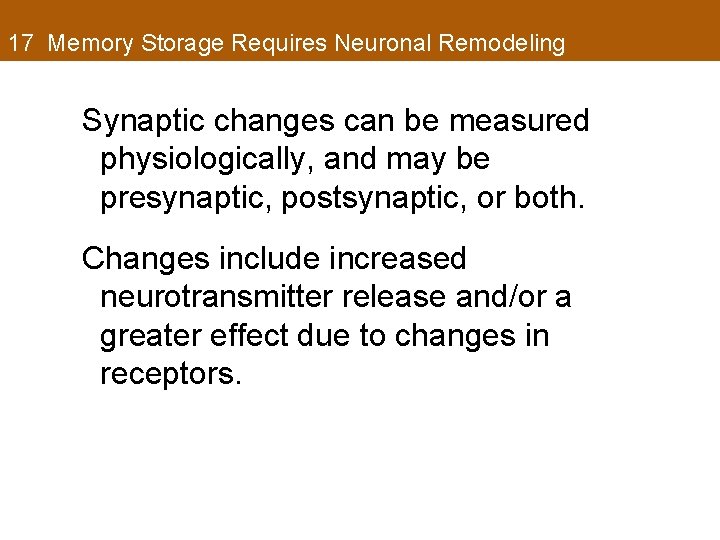 17 Memory Storage Requires Neuronal Remodeling Synaptic changes can be measured physiologically, and may