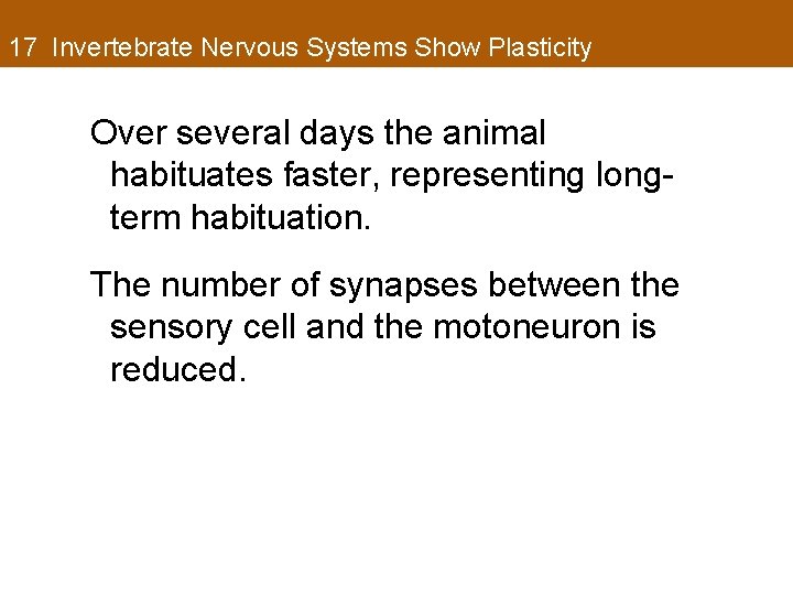 17 Invertebrate Nervous Systems Show Plasticity Over several days the animal habituates faster, representing