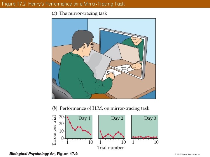 Figure 17. 2 Henry’s Performance on a Mirror-Tracing Task 