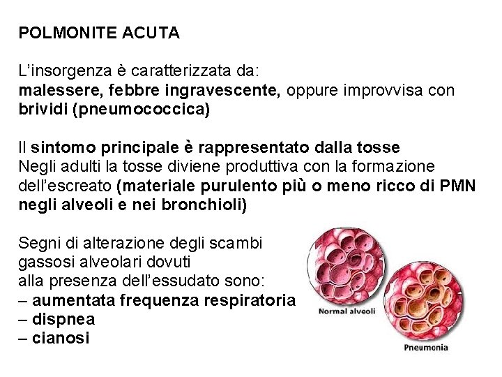 POLMONITE ACUTA L’insorgenza è caratterizzata da: malessere, febbre ingravescente, oppure improvvisa con brividi (pneumococcica)