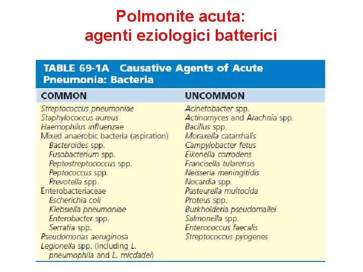 Polmonite acuta: agenti eziologici batterici 