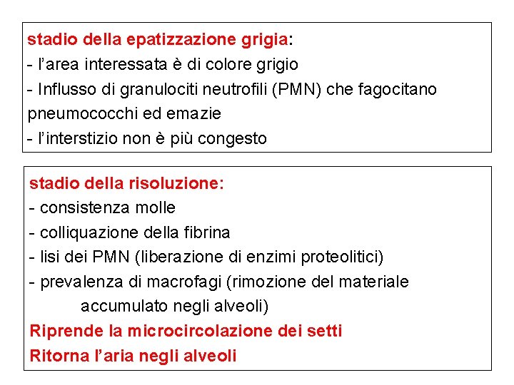 stadio della epatizzazione grigia: - l’area interessata è di colore grigio - Influsso di