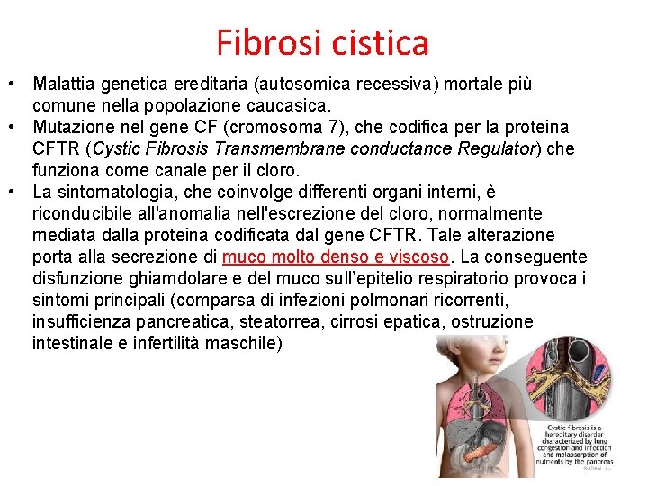 Fibrosi cistica • Malattia genetica ereditaria (autosomica recessiva) mortale più comune nella popolazione caucasica.