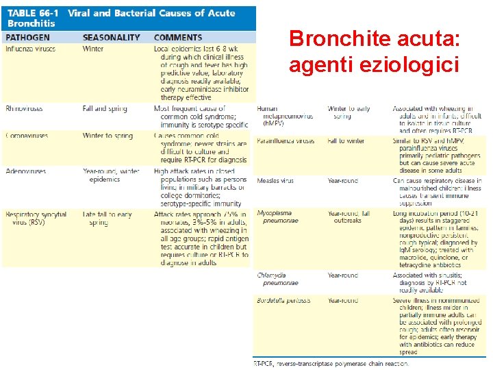 Bronchite acuta: agenti eziologici 