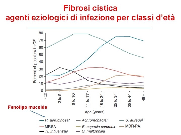 Fibrosi cistica agenti eziologici di infezione per classi d’età Fenotipo mucoide 