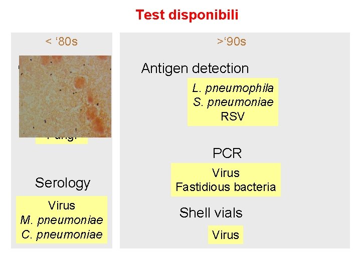 Test disponibili < ‘ 80 s Gram staining Culture Blood culture Bacteria Fungi >‘