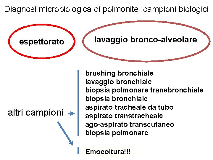 Diagnosi microbiologica di polmonite: campioni biologici espettorato altri campioni lavaggio bronco-alveolare brushing bronchiale lavaggio