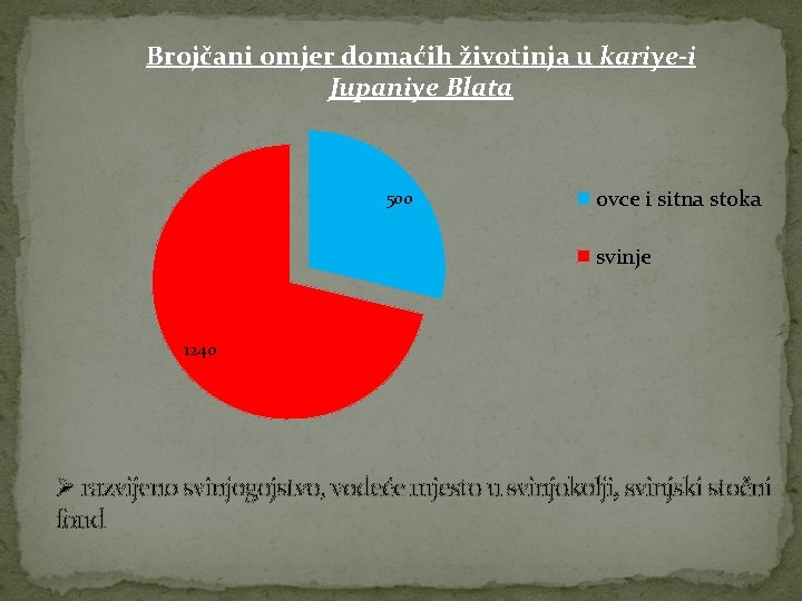 Brojčani omjer domaćih životinja u kariye-i Jupaniye Blata 500 ovce i sitna stoka svinje