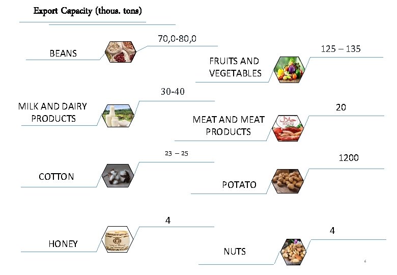 Export Capacity (thous. tons) 70, 0 -80, 0 BEANS FRUITS AND VEGETABLES 125 –