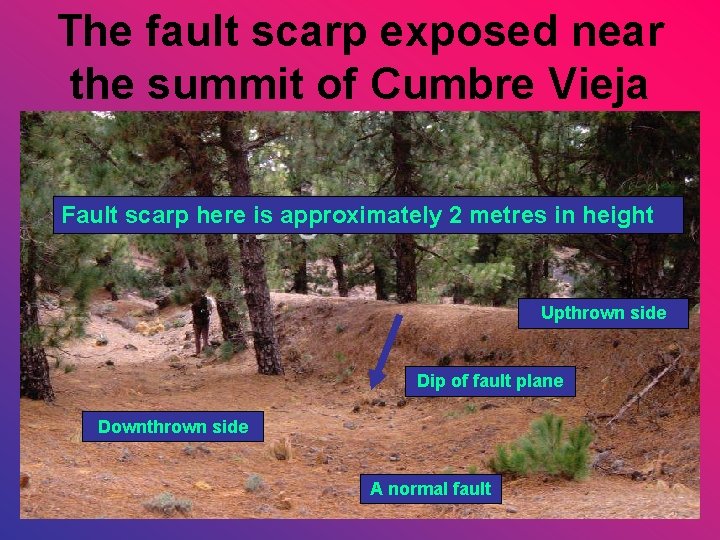 The fault scarp exposed near the summit of Cumbre Vieja Fault scarp here is