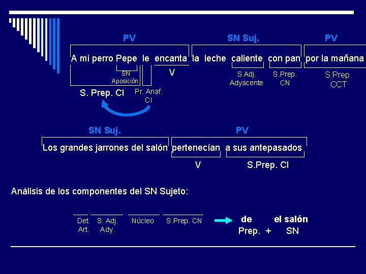 PV SN Suj. PV A mi perro Pepe le encanta la leche caliente con