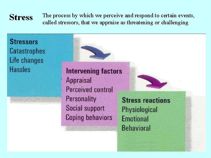 Stress The process by which we perceive and respond to certain events, called stressors,