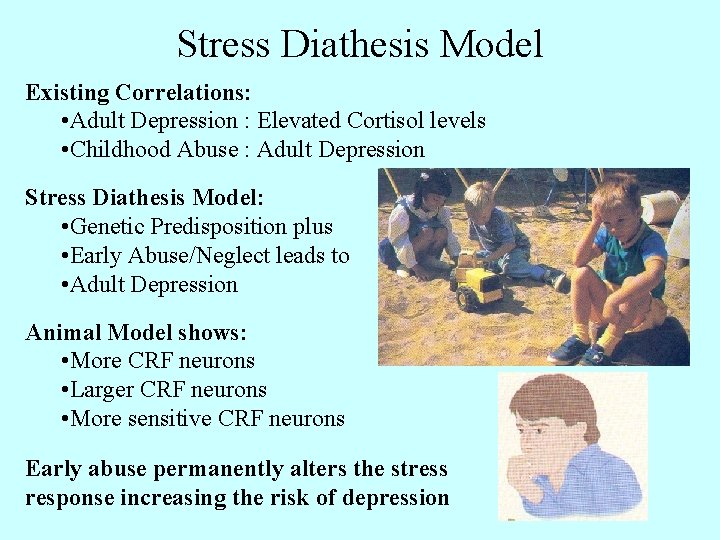 Stress Diathesis Model Existing Correlations: • Adult Depression : Elevated Cortisol levels • Childhood