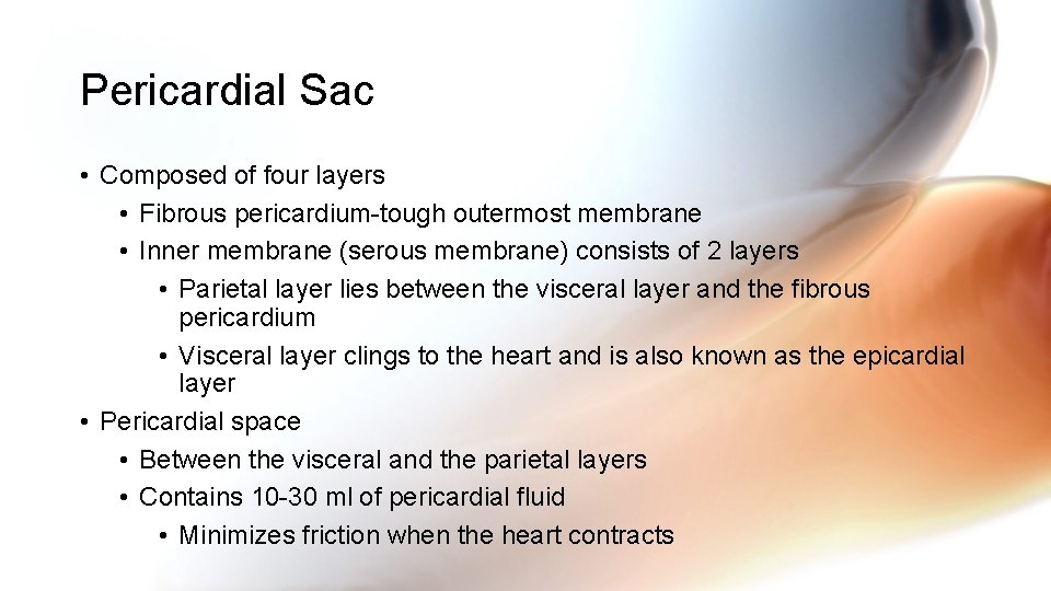 Pericardial Sac • Composed of four layers • Fibrous pericardium-tough outermost membrane • Inner Pericardial Sac • Composed of four layers • Fibrous pericardium-tough outermost membrane • Inner