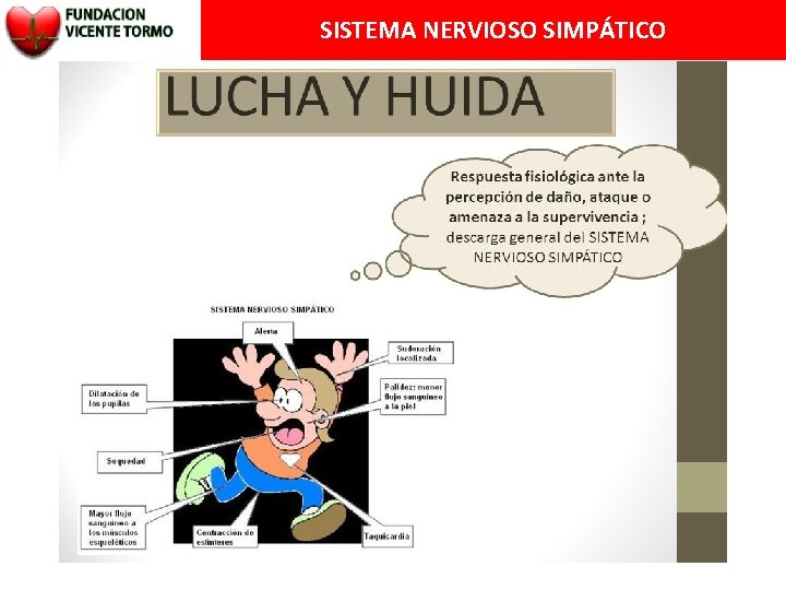 SISTEMA NERVIOSO SIMPÁTICO 