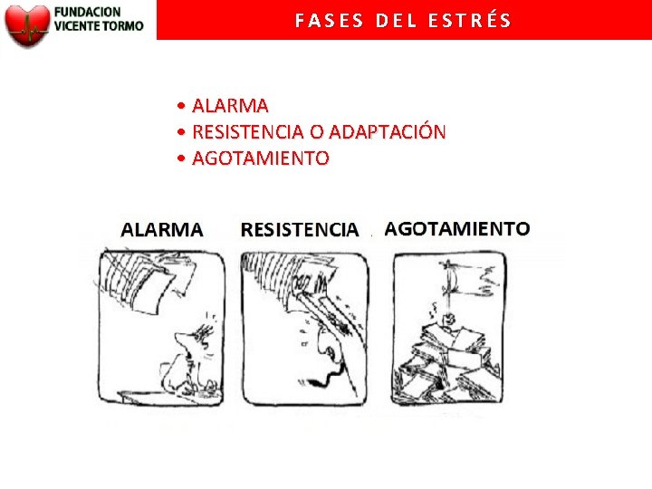 FASES DEL ESTRÉS • ALARMA • RESISTENCIA O ADAPTACIÓN • AGOTAMIENTO 