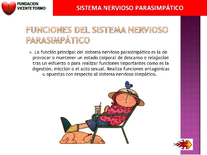 SISTEMA NERVIOSO PARASIMPÁTICO 