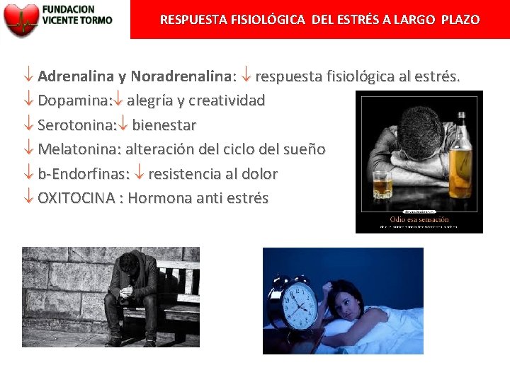 RESPUESTA FISIOLÓGICA DEL ESTRÉS A LARGO PLAZO Adrenalina y Noradrenalina: respuesta fisiológica al estrés.