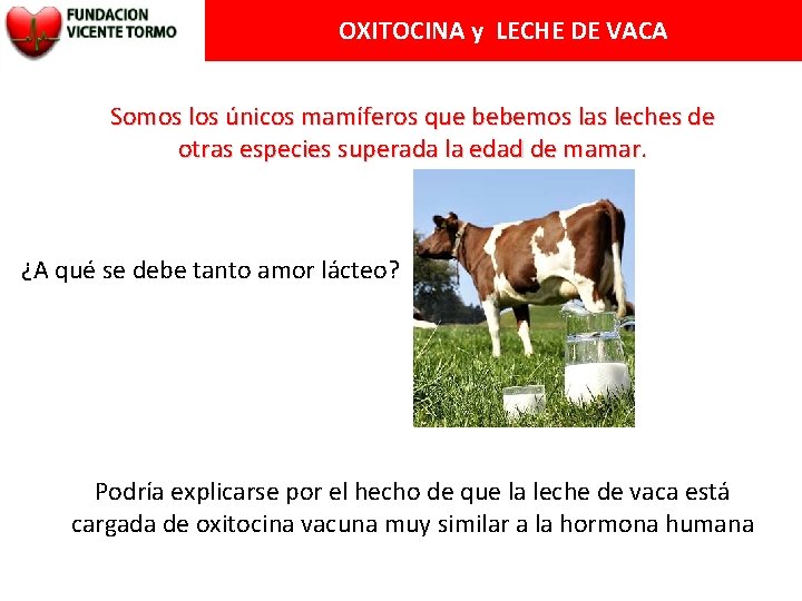 OXITOCINA y LECHE DE VACA Somos los únicos mamíferos que bebemos las leches de