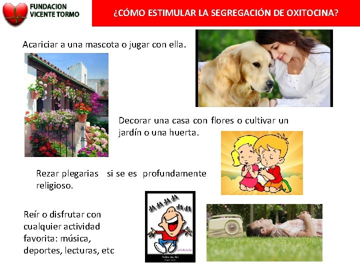 ¿CÓMO ESTIMULAR LA SEGREGACIÓN DE OXITOCINA? Acariciar a una mascota o jugar con ella.