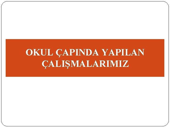 OKUL ÇAPINDA YAPILAN ÇALIŞMALARIMIZ 