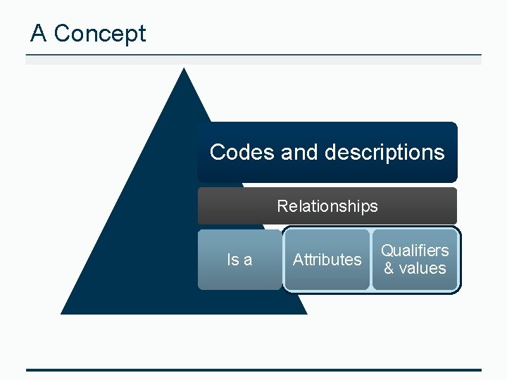 A Concept Codes and descriptions Relationships Is a Attributes Qualifiers & values 