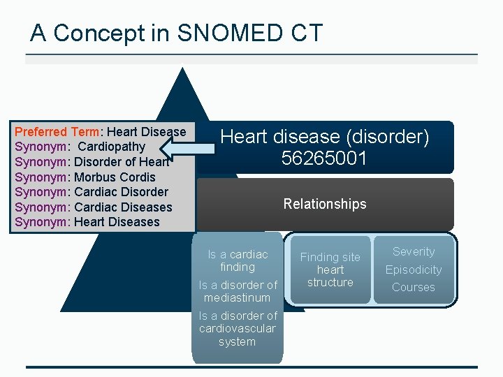 A Concept in SNOMED CT Preferred Term: Heart Disease Synonym: Cardiopathy Synonym: Disorder of
