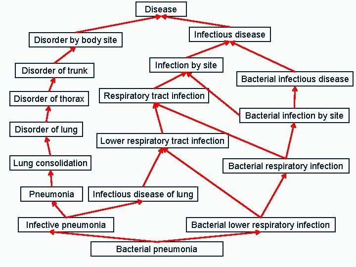 Disease Infectious disease Disorder by body site Infection by site Disorder of trunk Disorder