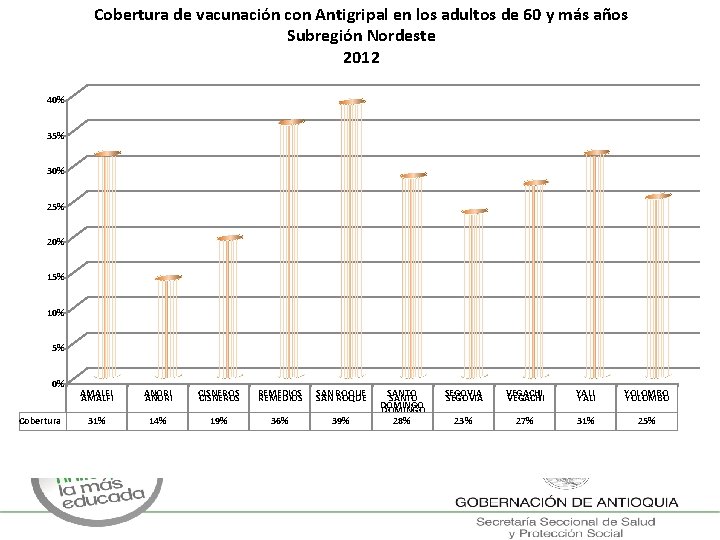 Cobertura de vacunación con Antigripal en los adultos de 60 y más años Subregión