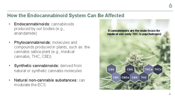 How the Endocannabinoid System Can Be Affected • Endocannabinoids: cannabinoids produced by our bodies