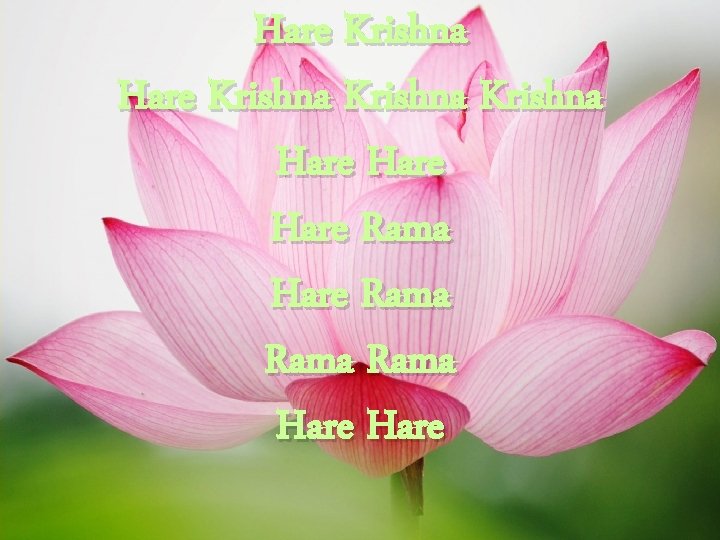 Hare Krishna Hare Rama Hare 