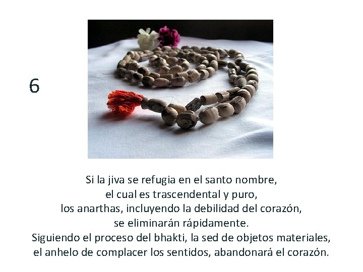 6 Si la jiva se refugia en el santo nombre, el cual es trascendental