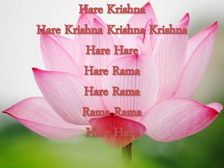 Hare Krishna Hare Rama Hare 