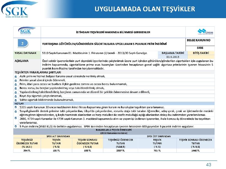 UYGULAMADA OLAN TEŞVİKLER 43 