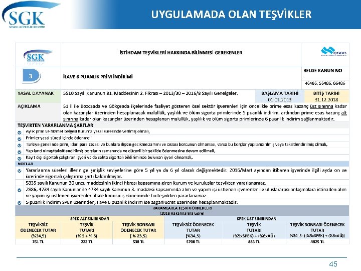 UYGULAMADA OLAN TEŞVİKLER 45 